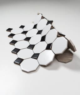 White and Black Octagon - u5aywjzxlcmb4gxg3cx2@2x.jpg