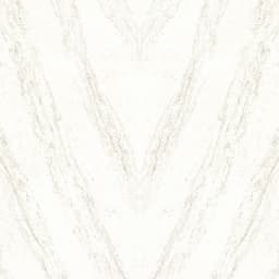 Cappucino - u5dvlgdxi0vbnq9sqngm@2x.jpg