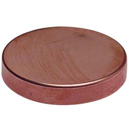 Test Cap, 1/2 in, C, Copper - u5ltifjejunlzf8u9hcd@2x.jpg