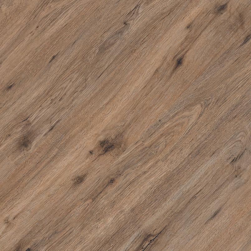 Kallum® Fauna® - u6hfqg1aultfh1onxnio@2x.jpg