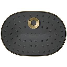 Statement 1.75 GPM Multi Function Shower Head with MasterClean Sprayface and Katalyst Air Induction Technology - u6rofsvq9phmtoi3cgf6@2x.jpg