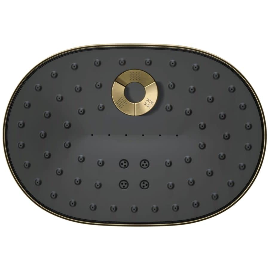 Statement 1.75 GPM Multi Function Shower Head with MasterClean Sprayface and Katalyst Air Induction Technology - u6rofsvq9phmtoi3cgf6@2x.jpg