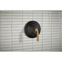 Tone Shower Only Trim Package with 2.5 GPM Single Function Shower Head - u6xo9i8jfgwvlxrntoir@2x.jpg