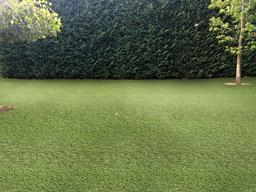 EMERALD GREEN TURF 76 - u9snxku4w4gmkvmo03oz@2x.jpg