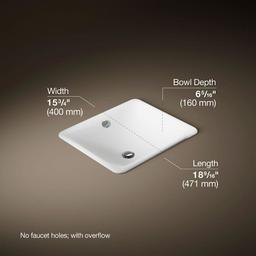 Iron Plains 18-9/16" Drop In Enameled Cast Iron Bathroom Sink with Overflow - uaiaeweiwq3vv6qcjxz9@2x.jpg
