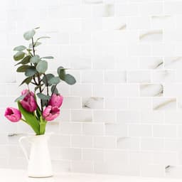 Aria Bianco - uanqsnqg6yhwokejjzuu@2x.jpg