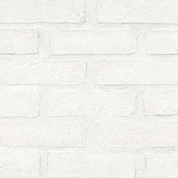 Alpine White Clay Brick 2..5 - ubku6silwe2iglhzthmc_800x500@2x.jpg