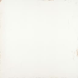COGENT WHITE 31X31 - ucd3j1w4ajqlbnohhedy@2x.jpg