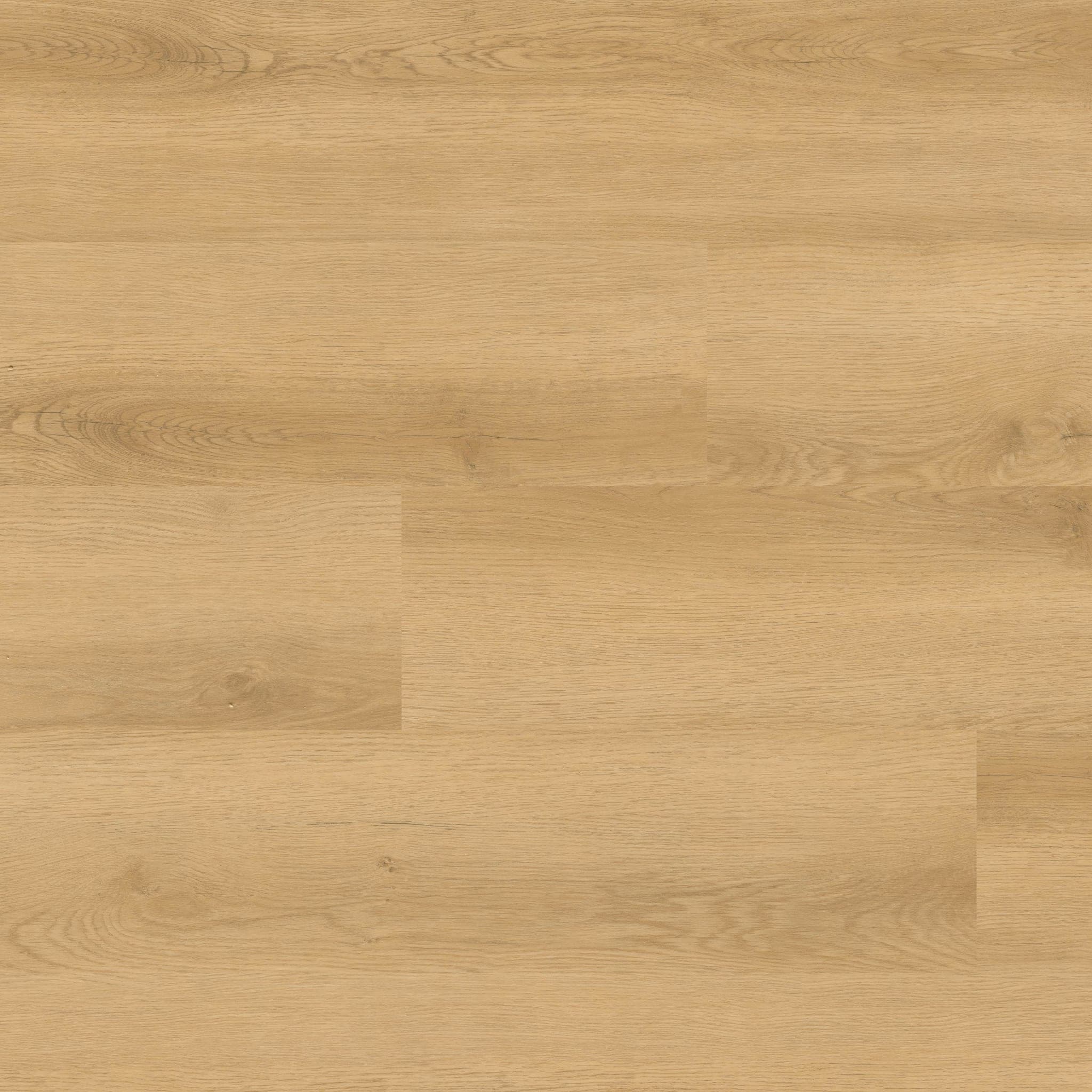 NOVE HYDE HAVEN 9X48