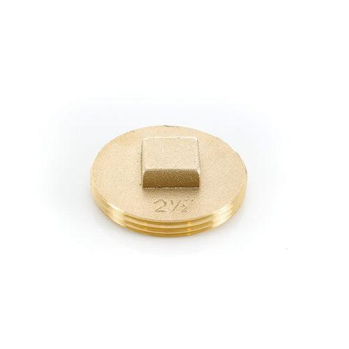 Raised Head Cleanout Plug, 2-1/2 in, Brass - ucn8wrz8drqtyon3rusr_x500.jpg