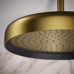 Statement Round 14" Single Function 2.5 GPM Rainhead with MasterClean Sprayface and Katalyst Air-Induction Technology - ue1zhrg4yeggzl6w27em@2x.jpg