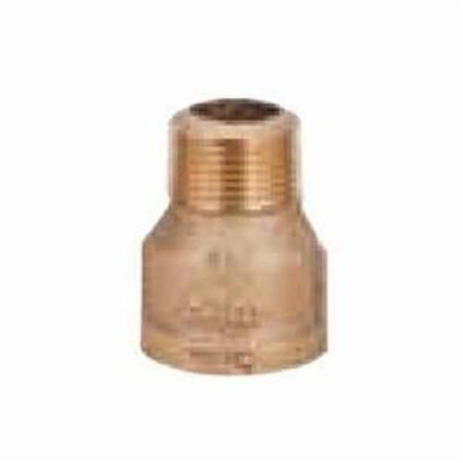 Extension Piece, 3/4 in, MNPT x FNPT, Lead Free Brass, Rough Brass - ufkfghv1diznutrklau8@2x.jpg