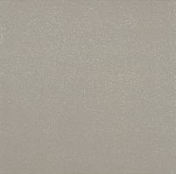 Quarry Naturals Shadow Gray Square 8X8 Abrasive - uifn188knm6uyaoi1prz@2x.jpg