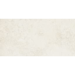 SILQUE ICE R11 12X24 - uipzbi2pyp3nwrkc09ky@2x.jpg