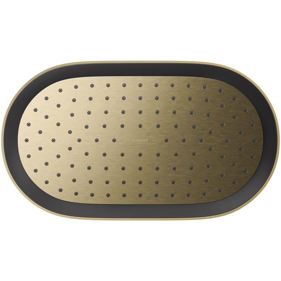 Statement Oblong 14" Single Function 2.5 GPM Rainhead with MasterClean Sprayface and Katalyst Air-Induction Technology - uirir0jdaee10vcsruns@2x.jpg