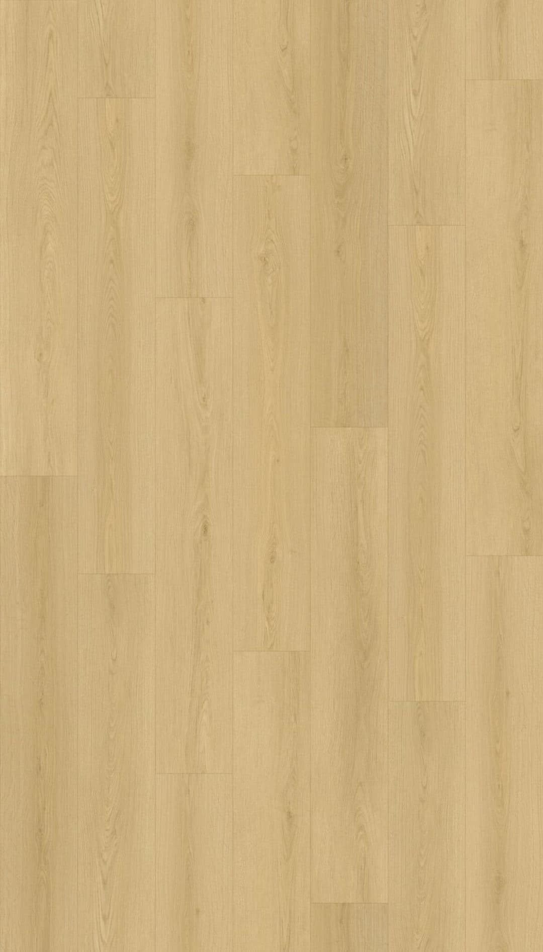 Castaic - uiut4qsxadspctvqjdok@2x.jpg