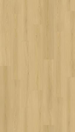 Castaic - uiut4qsxadspctvqjdok@2x.jpg