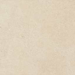 Haut Monde Nobility White Rectangle 12X24 Polished - uj6ijixqydfd4njnwnfb@2x.jpg