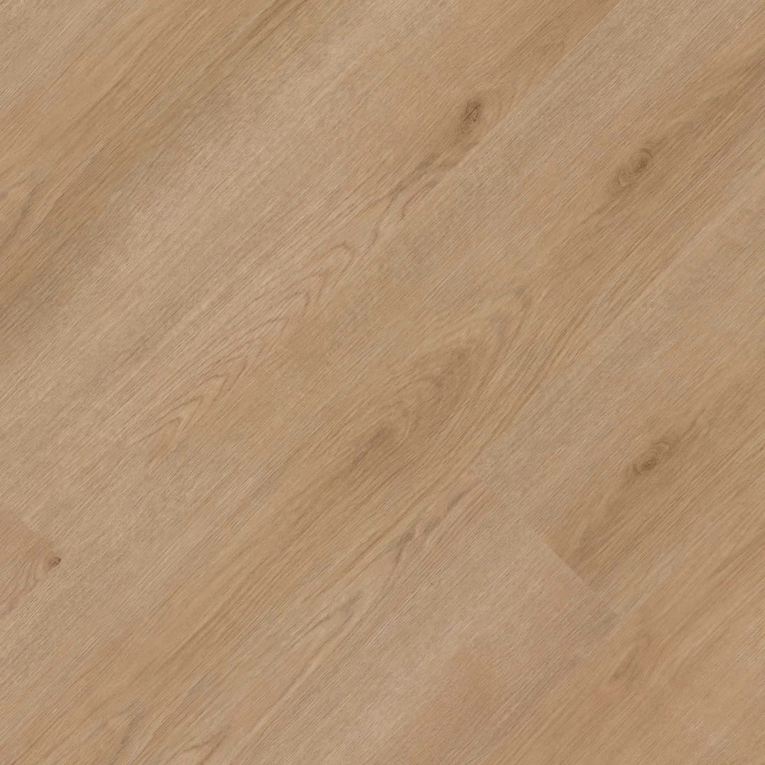 StudioTM Bozeman - ujntw4xpxc8i9ifi5yt3@2x.jpg