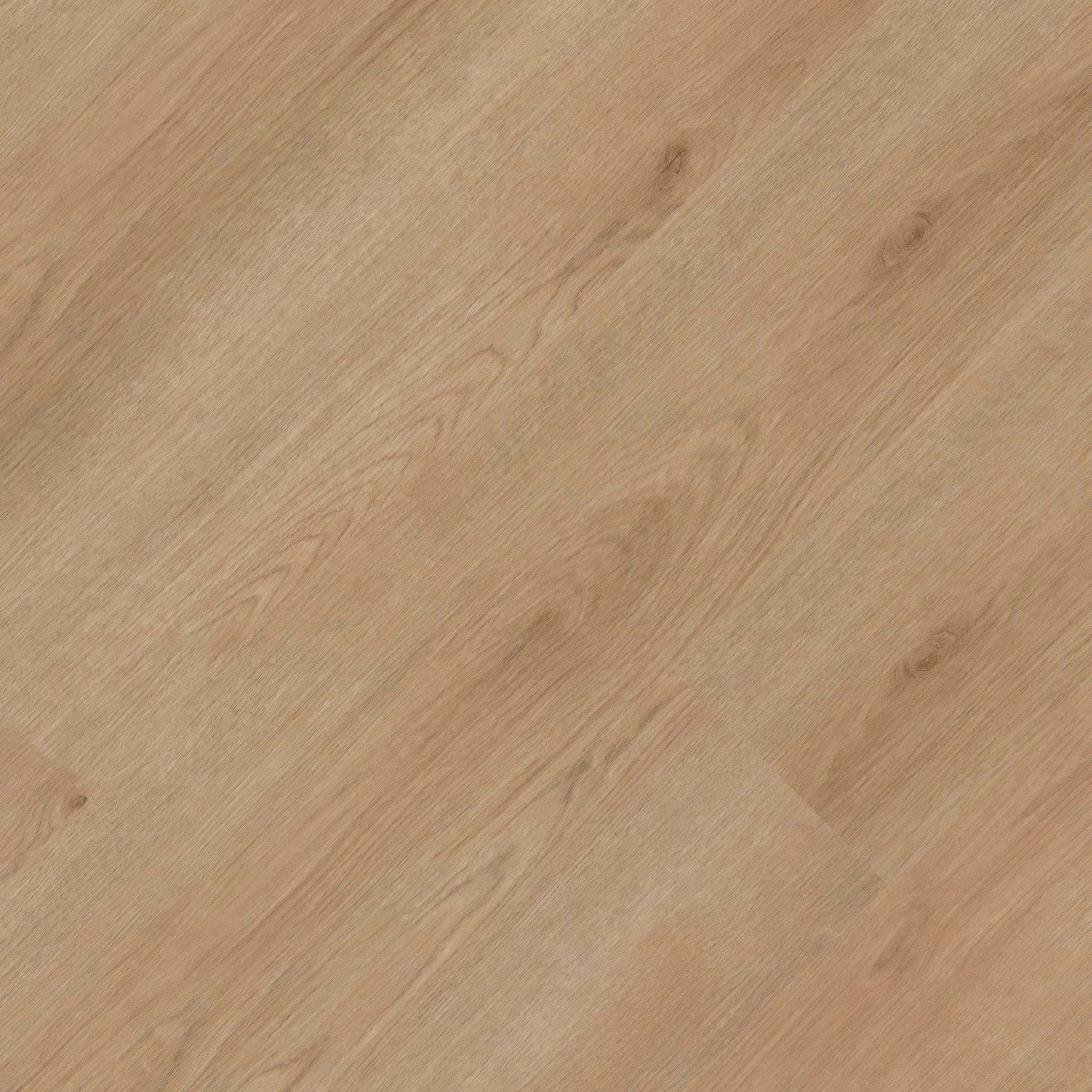 StudioTM Bozeman - ujntw4xpxc8i9ifi5yt3@2x.jpg