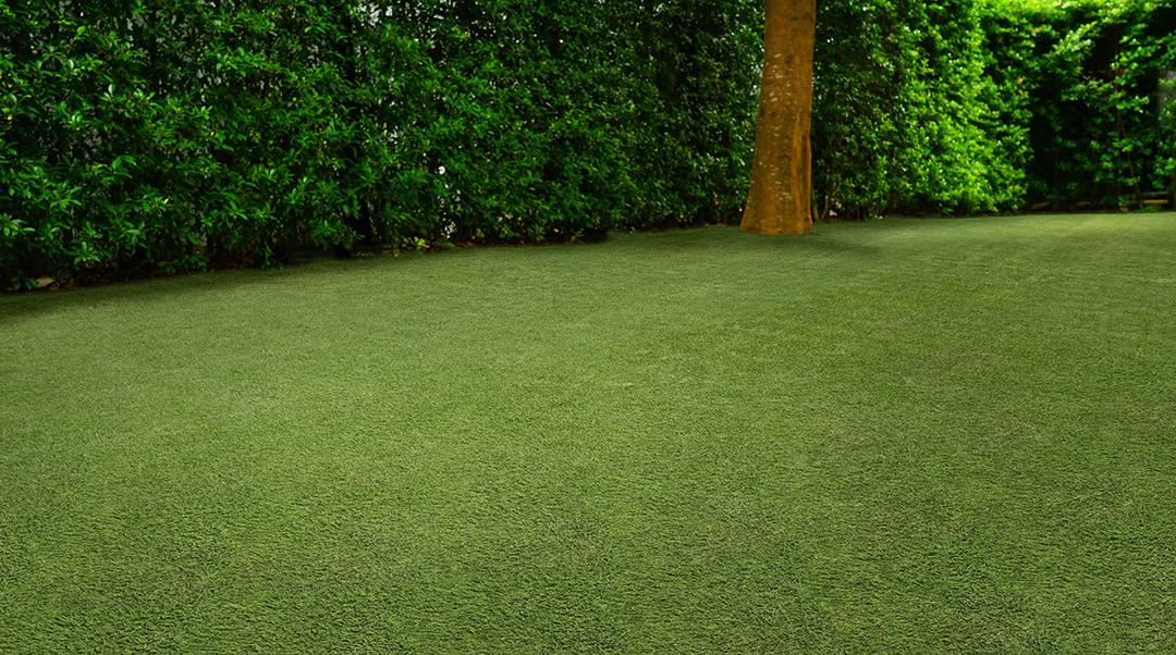 EMERALD GREEN TURF 110 - ulv8apillp3g9feexdko@2x.jpg