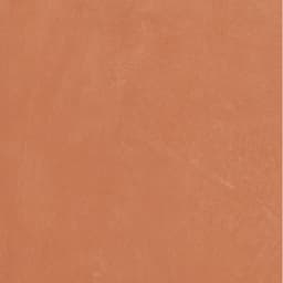 CLAYTONE CORAL R11 24X24 - um21fg21s3hjsp2rydg3@2x.jpg