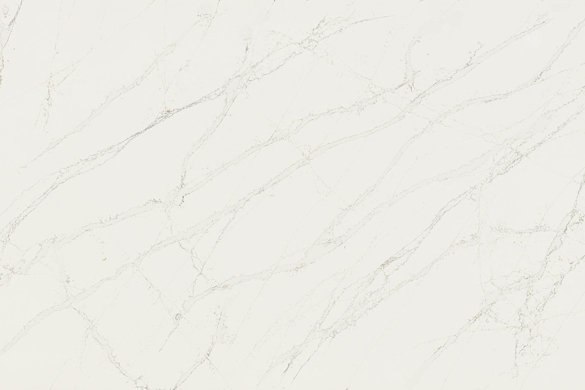 Calacatta Cathedral - uounq4kbr1oytyqkdbyh@2x.jpg