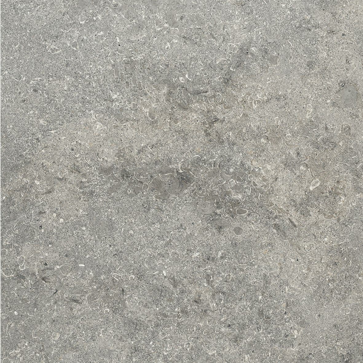 Marble Obsession Grigio Square 24X24 Matte - uqekqxt8lcc7ztqiwrw9@2x.jpg