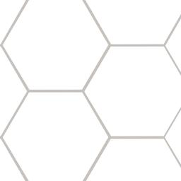 Hexley Ecru Hexagon Tile - uto9cdfvuzj6nda0yhzk@2x.jpg