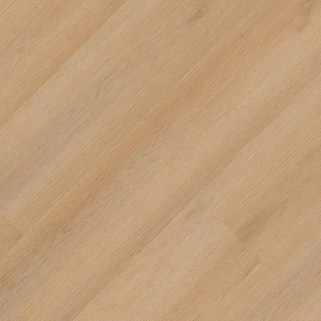 StudioTM Quillian - utpkpcavqltfmfssabpn@2x.jpg