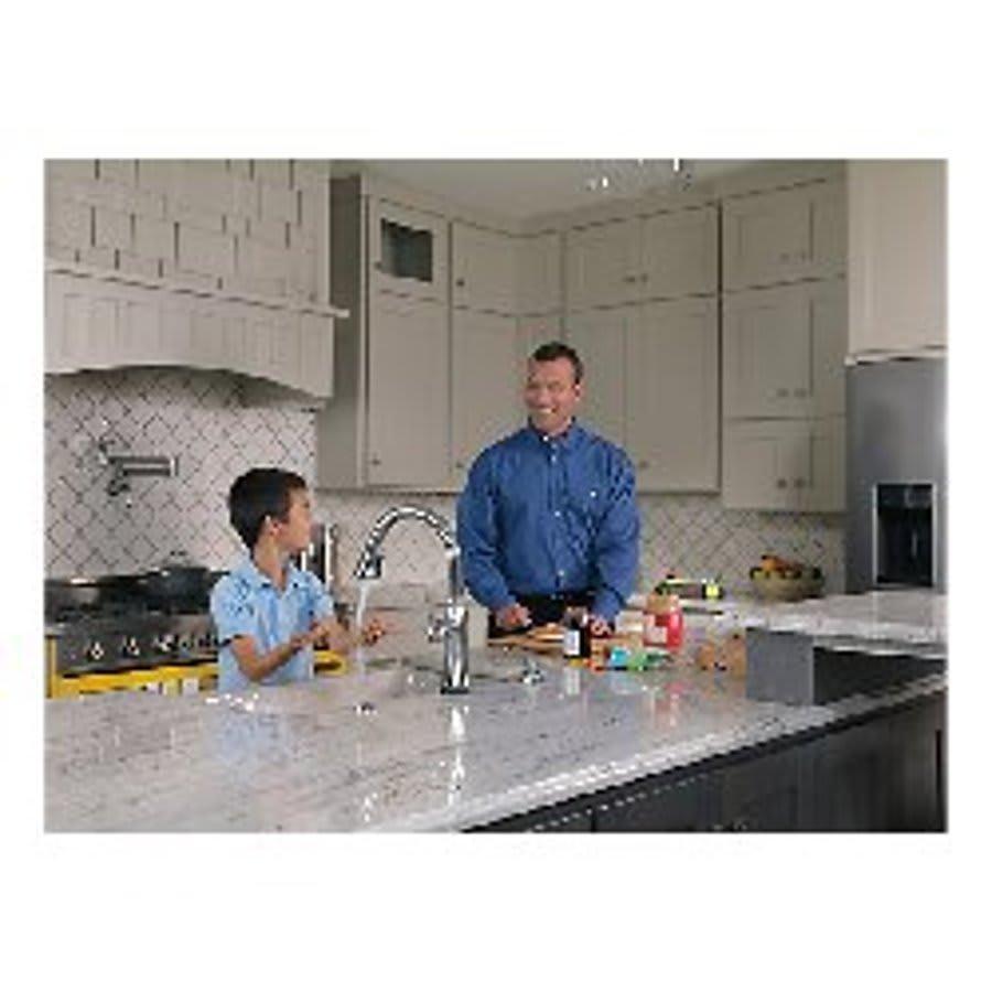 Pot Filler Faucet, Wall Mount, ADA, 2 Lever Handle, 1-Hole, Arctic Stainless - uuqhssux6rn6cg2kxswp@2x.jpg