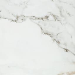 Platinum Magnolia Rectangle 12X24 Matte - uvhr6iozmlrwhkwa9lqq@2x.jpg