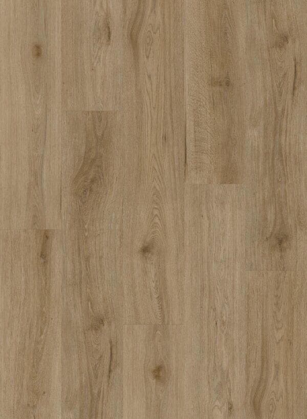 Sandrift