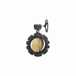 Lug Style Butterfly Valve, Gear Operator, 14 in, Flange, Ductile Iron - uxicdcuum6ndkp8zljxm@2x.jpg