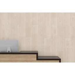 BB WOOD OAK WHITE 8X47 - uzgqgwtkoco1wdl7uibz@2x.jpg