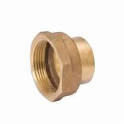 DWV Cleanout Adapter, 3 in, Fitting x FNPT, Copper - v2je08hkmkbovginhs8l@2x.jpg