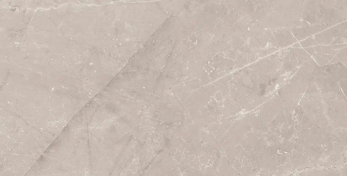 ETIENNE GRAY PO 12X24R