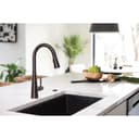 Sleek 1.5 GPM Single Hole Pull Down Kitchen Faucet - Includes Escutcheon - v4yjttmboiffc1dp6qbv@2x.jpg