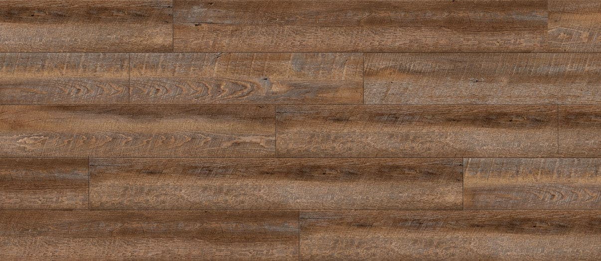Mulberry Oak