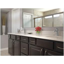Ashlyn 1.2 GPM Single Hole Bathroom Faucet with Push Pop-Up Drain Assembly - v5makjeuyxljb5lsmbky@2x.jpg
