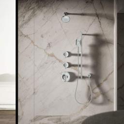 Forte 1.75 GPM Multi-Function Shower Head - vbjugpza4beudcvnmex3@2x.jpg