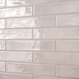 Blush - vbughua54othesq0dcfm_x500.jpg