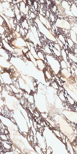 Calacatta Viola Lucidato Bm Face A - vcxkbhjememaaxv0w7nb@2x.jpg