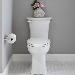 Edgemere Wall Mounted Pivoting Toilet Paper Holder - vd7ojrq7gchcbahgwm21_x500.jpg
