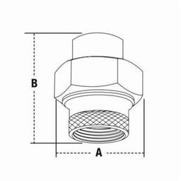 Dielectric Union, 1/2 in, C x FNPT - vd894jjfretv06apsyge@2x.jpg