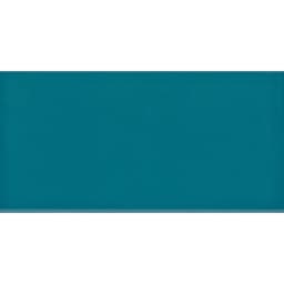CATCH TEAL GL 3X6 - veukxq8xndwzpoic1ut9@2x.jpg