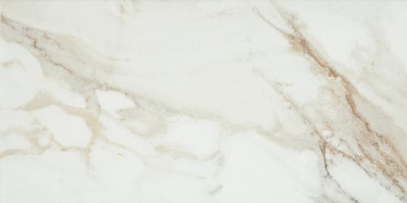 Platinum Magnolia Rectangle 12X24 Matte - vexdgtj6wxktrjtukr8t@2x.jpg