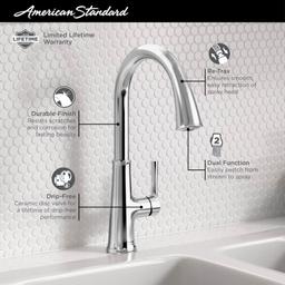 Renate 1.5 GPM Single Hole Pull Down Kitchen Faucet - Includes Escutcheon - vfbgb1wlgqtvbngod1el@2x.jpg
