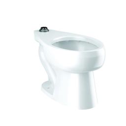 SloanTec Toilet Bowl, Floor Mount, 10 or 12 in Rough, Elongated, Flushometer, White - vgi1umysnszguilwj2xp_800x500@2x.jpg