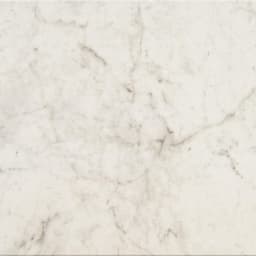 Mythique Marble Altissimo Square 12X12 Matte - vjjkmkavfvidj9pgqzyd@2x.jpg